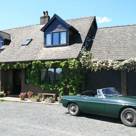 Ty Carreg Bed and Breakfast Llanwrtyd Wells Esterno foto