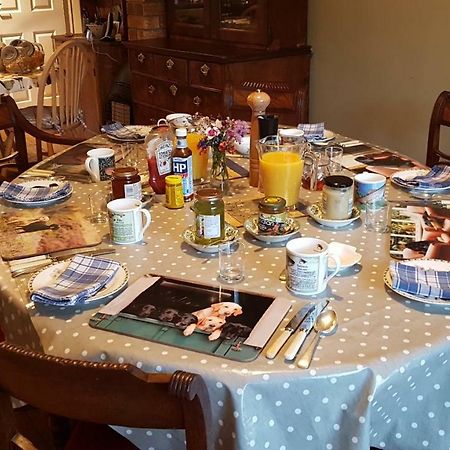 Ty Carreg Bed and Breakfast Llanwrtyd Wells Esterno foto