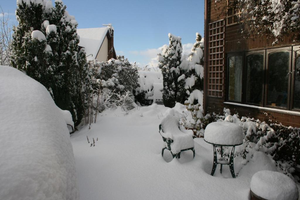 Ty Carreg Bed and Breakfast Llanwrtyd Wells Esterno foto