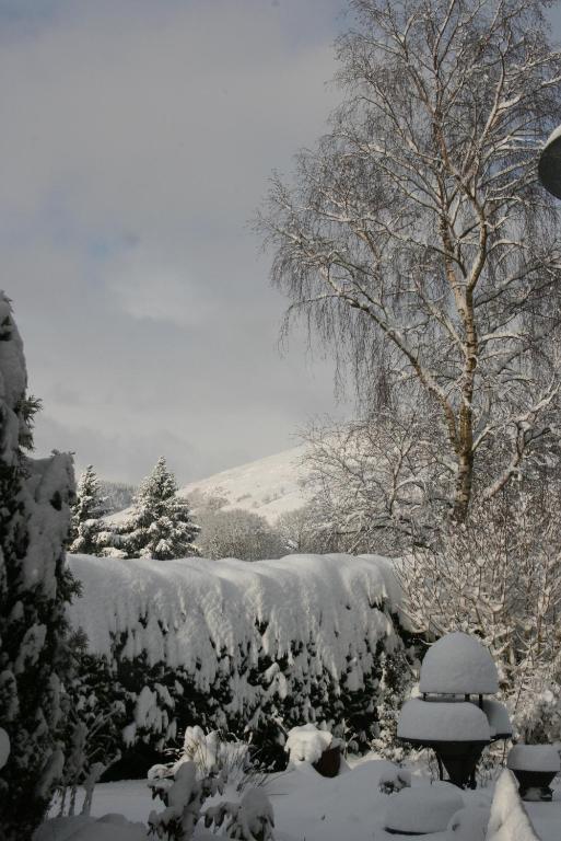 Ty Carreg Bed and Breakfast Llanwrtyd Wells Esterno foto
