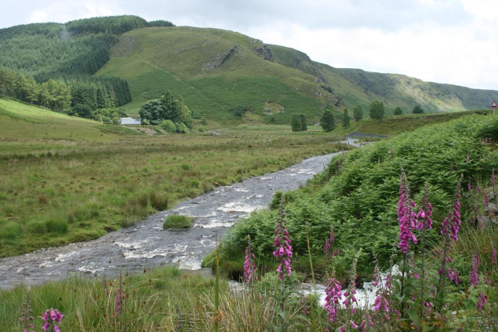 Ty Carreg Bed and Breakfast Llanwrtyd Wells Esterno foto