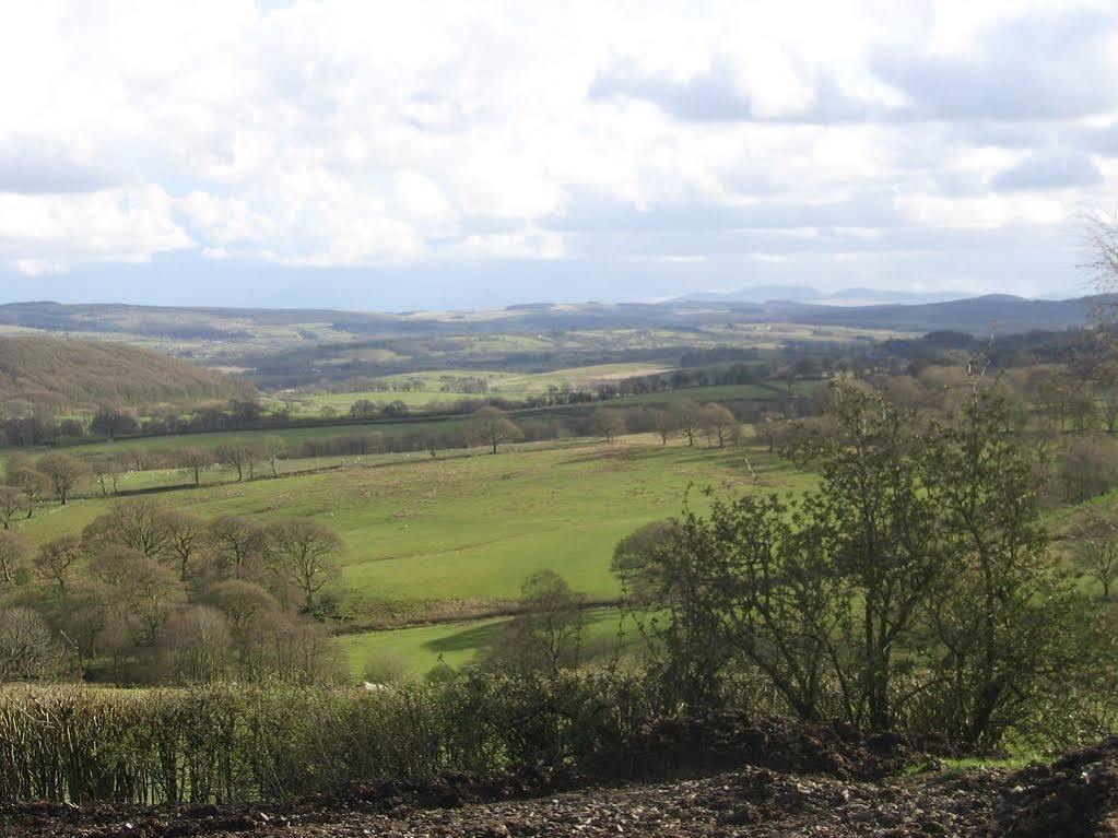 Ty Carreg Bed and Breakfast Llanwrtyd Wells Esterno foto