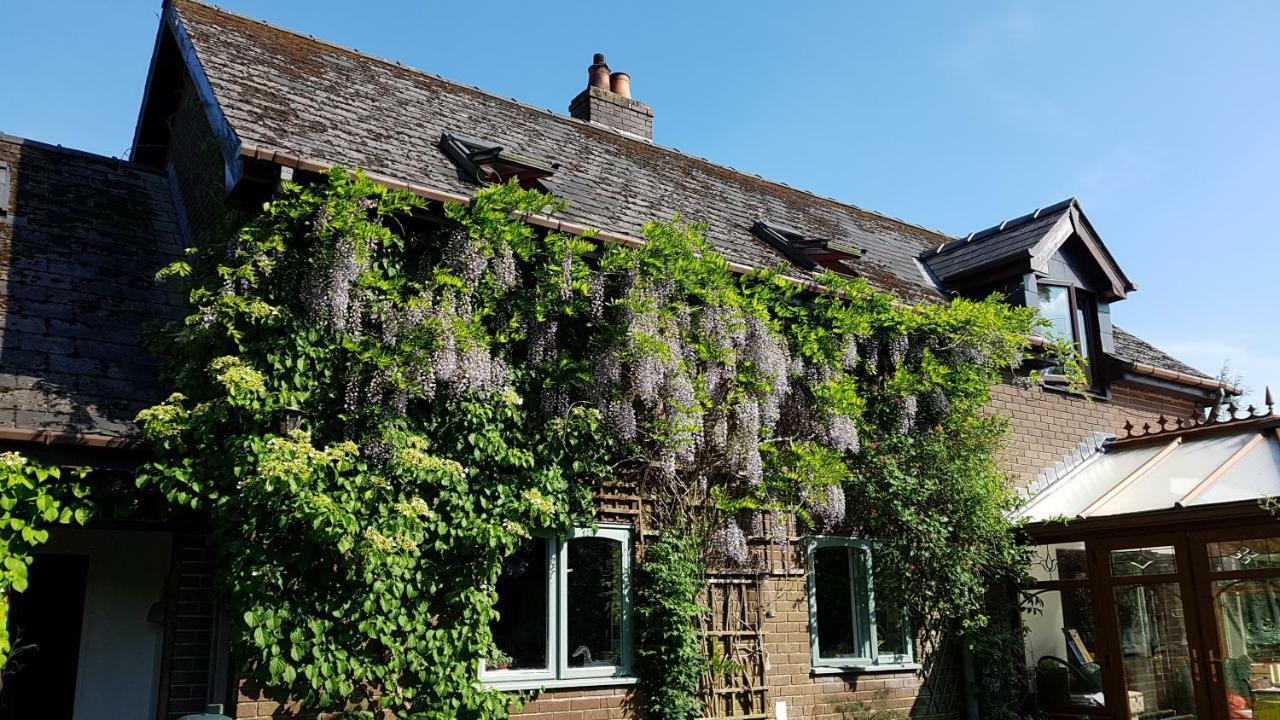 Ty Carreg Bed and Breakfast Llanwrtyd Wells Esterno foto